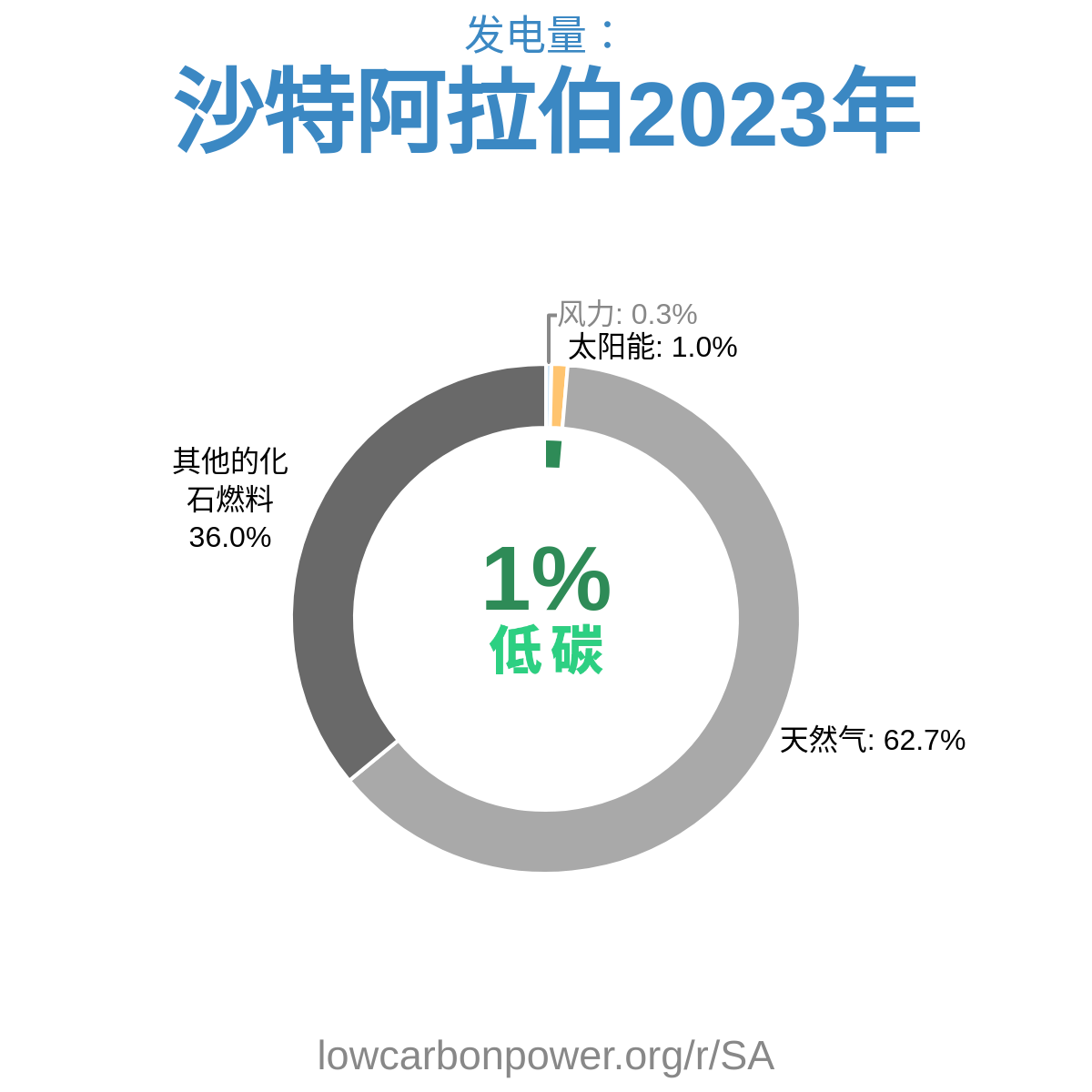 沙特阿拉伯
